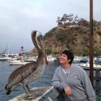 Car Dealer Team Member